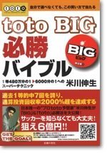 Toto Big 必勝バイブル 書籍 ムック 主婦の友インフォス Toto Big 必勝バイブル 書籍 ムック 主婦の友インフォス