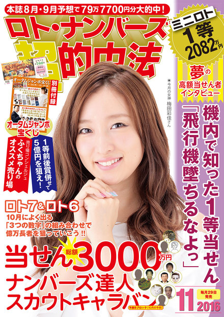 16年11月号 ロト ナンバーズ 超 的中法 主婦の友インフォス 16年11月号 ロト ナンバーズ 超 的中法 主婦の友インフォス
