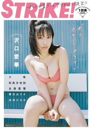 Strike 書籍 ムック 主婦の友インフォス